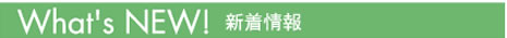 新着情報